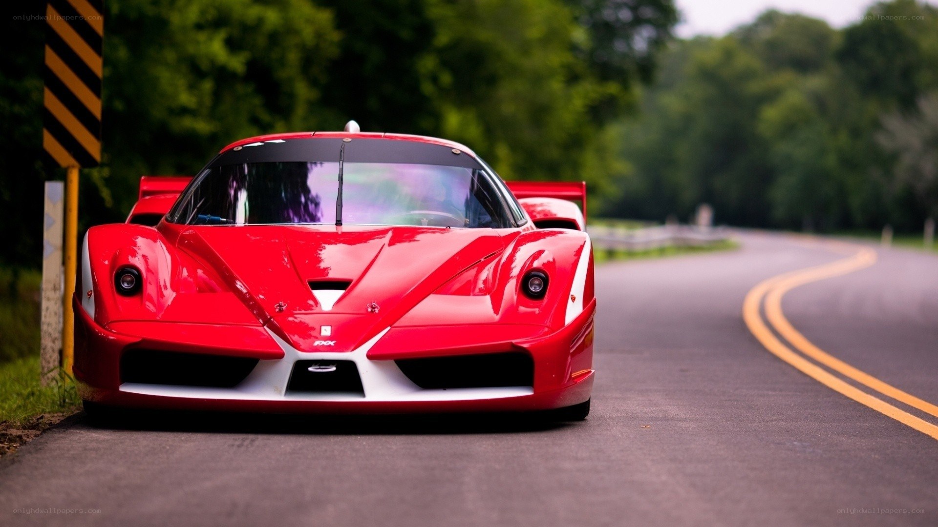 red ferrari on a winding road