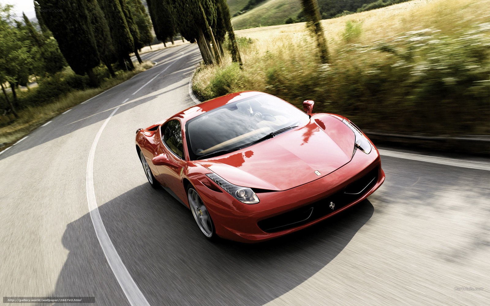 Red Ferrari on a winding road