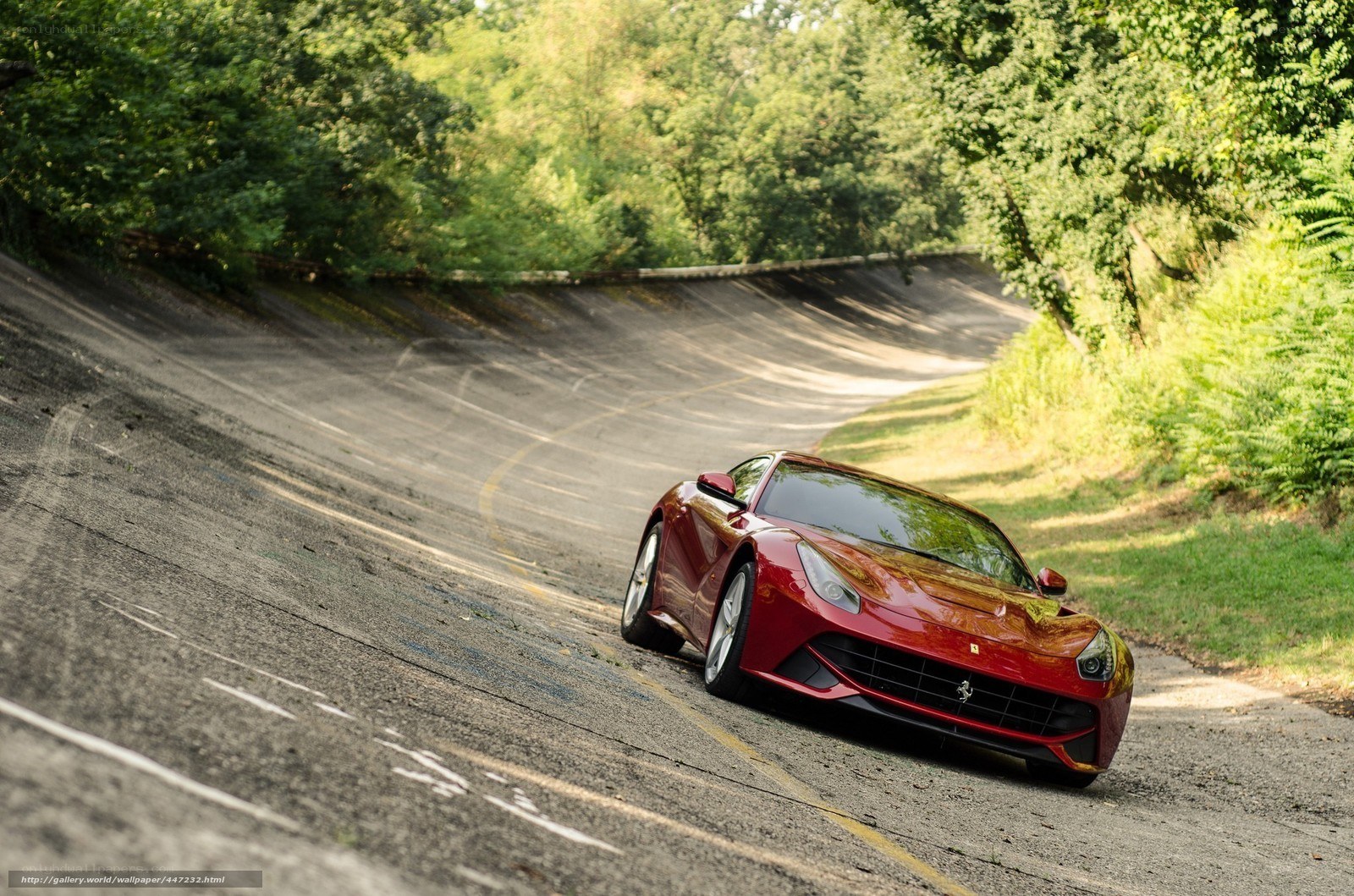 Red Ferrari on a winding road