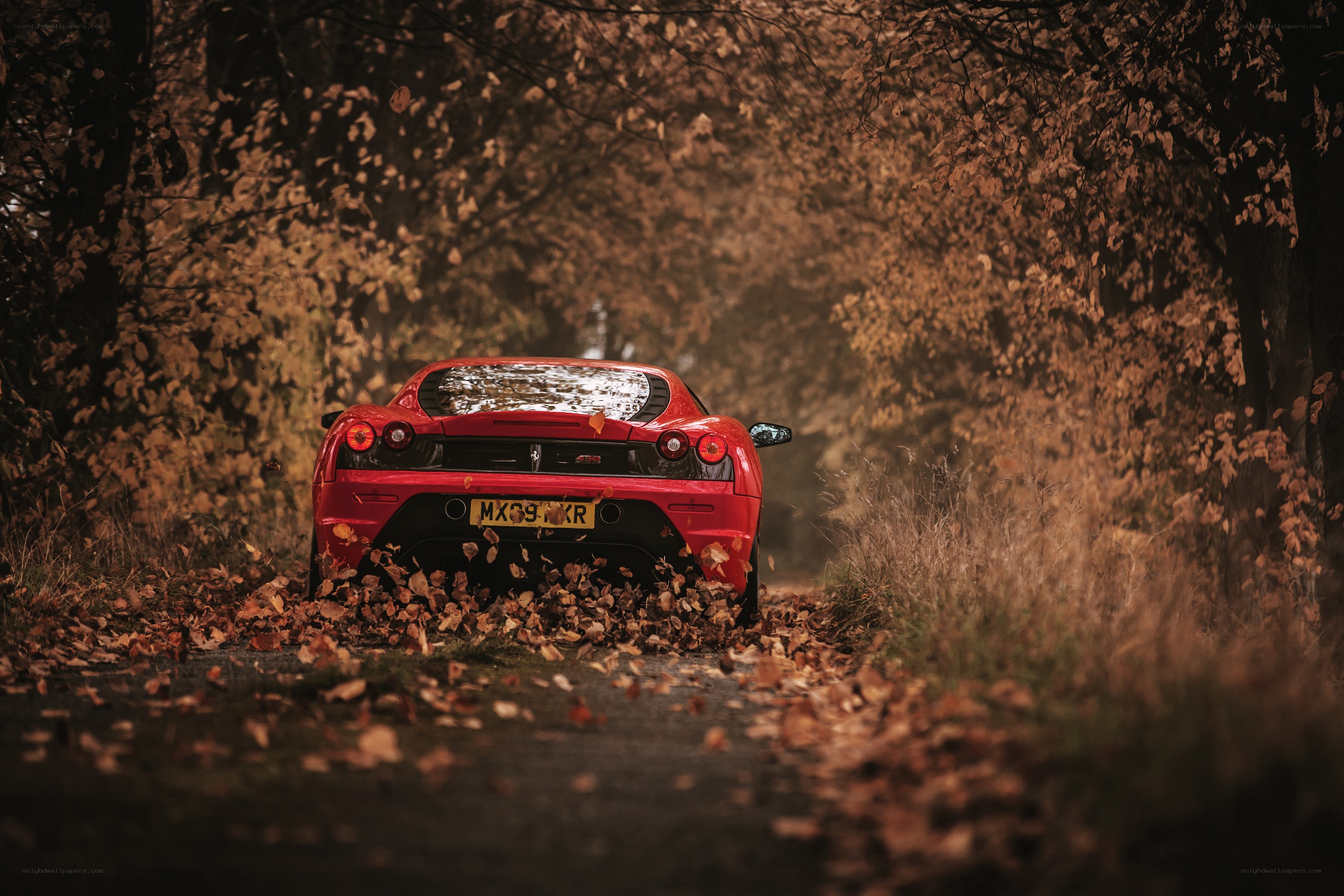 Red Ferrari on autumn road