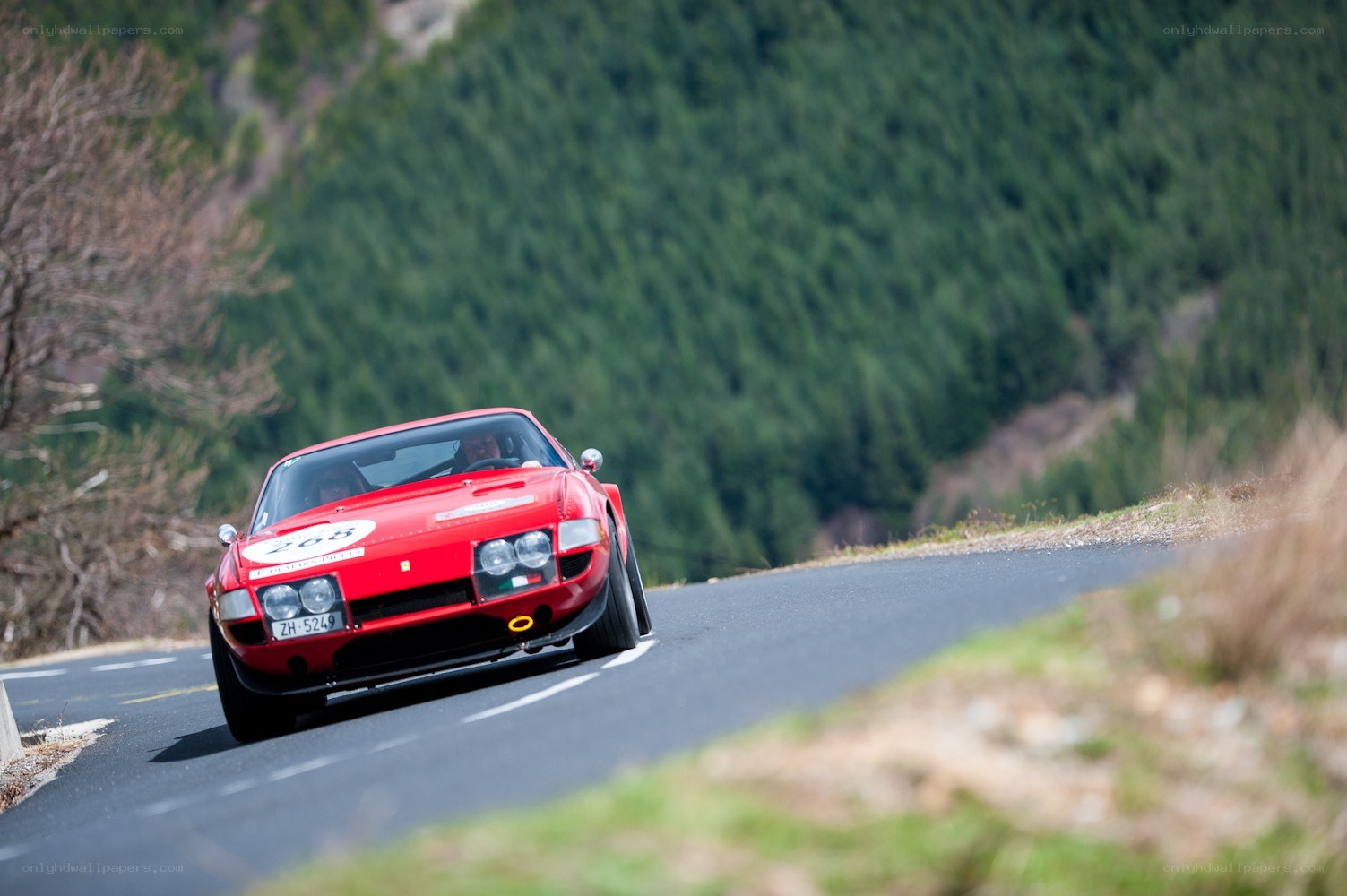 Red Ferrari on mountain road