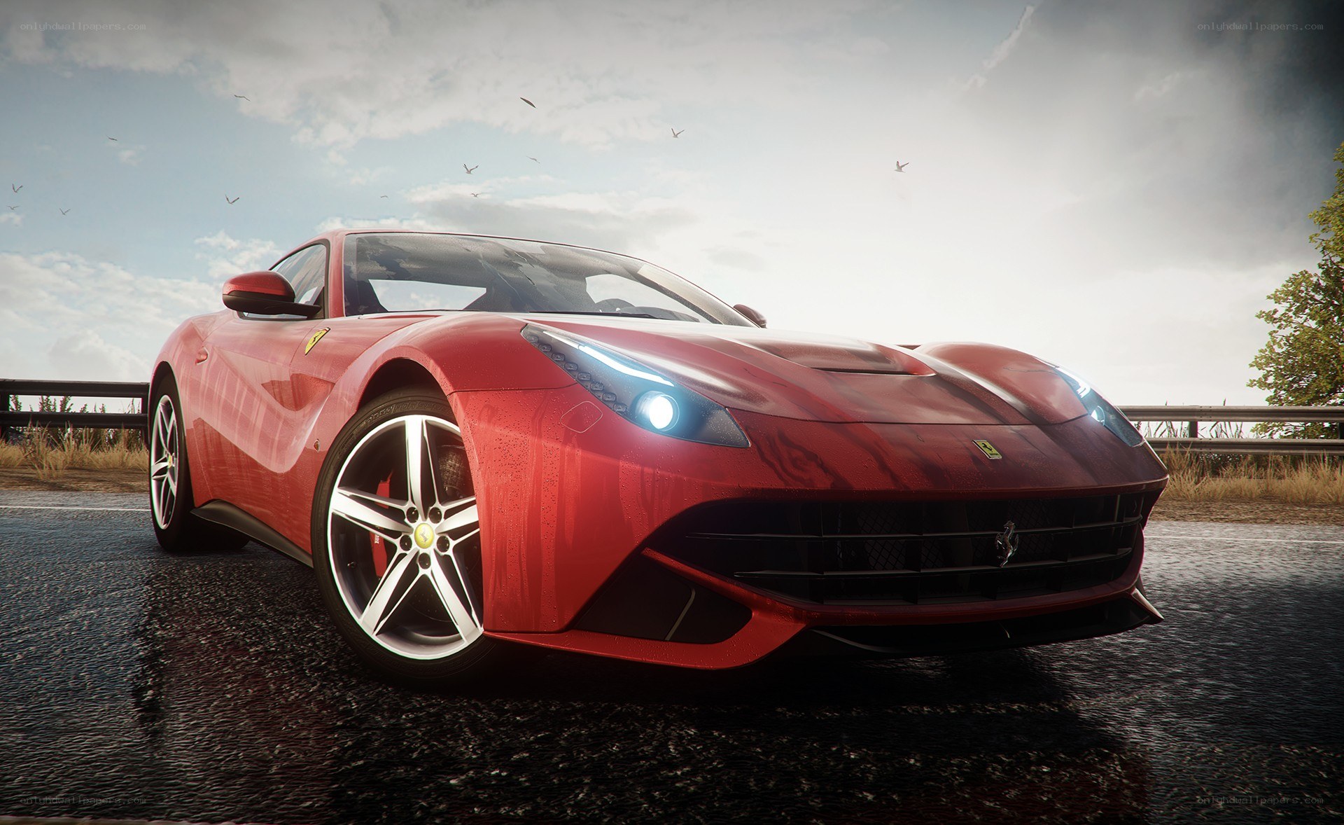 Red Ferrari on wet road