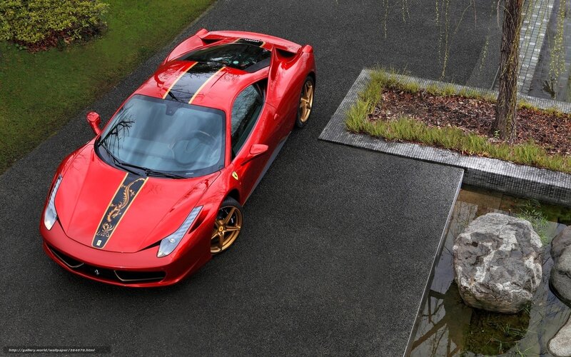Red Ferrari Sports Car — Calm, Photograph, Road, Tree