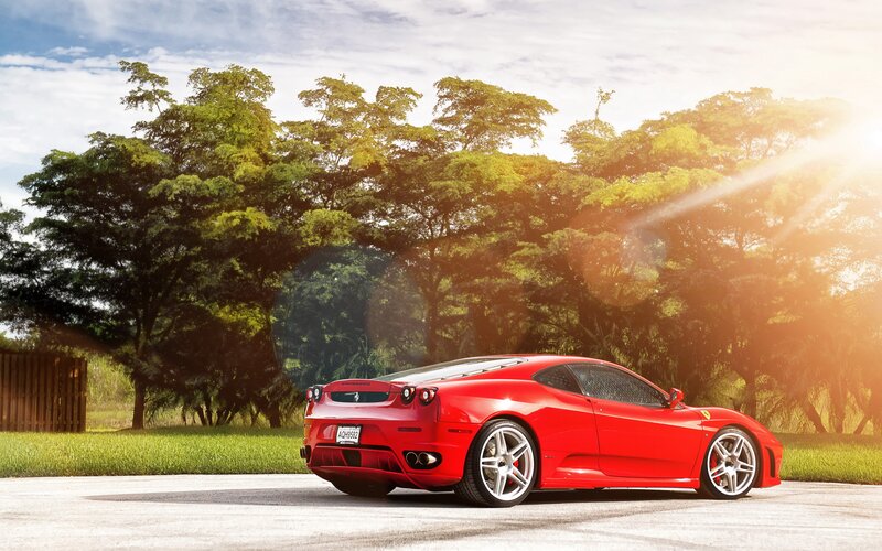Red Ferrari Sports Car — Serene, Afternoon, Photograph, Trees, Grass, Sunlight, Green
