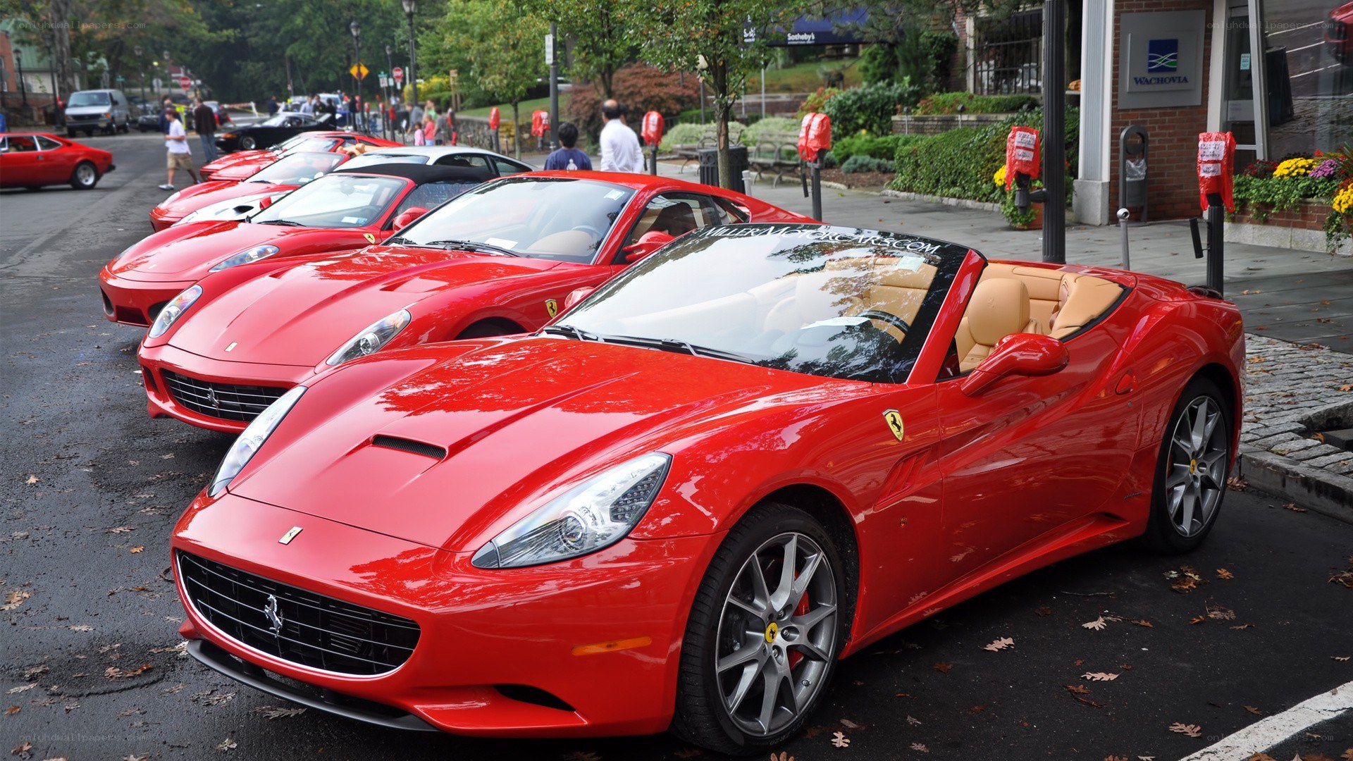 Red Ferraris in a row