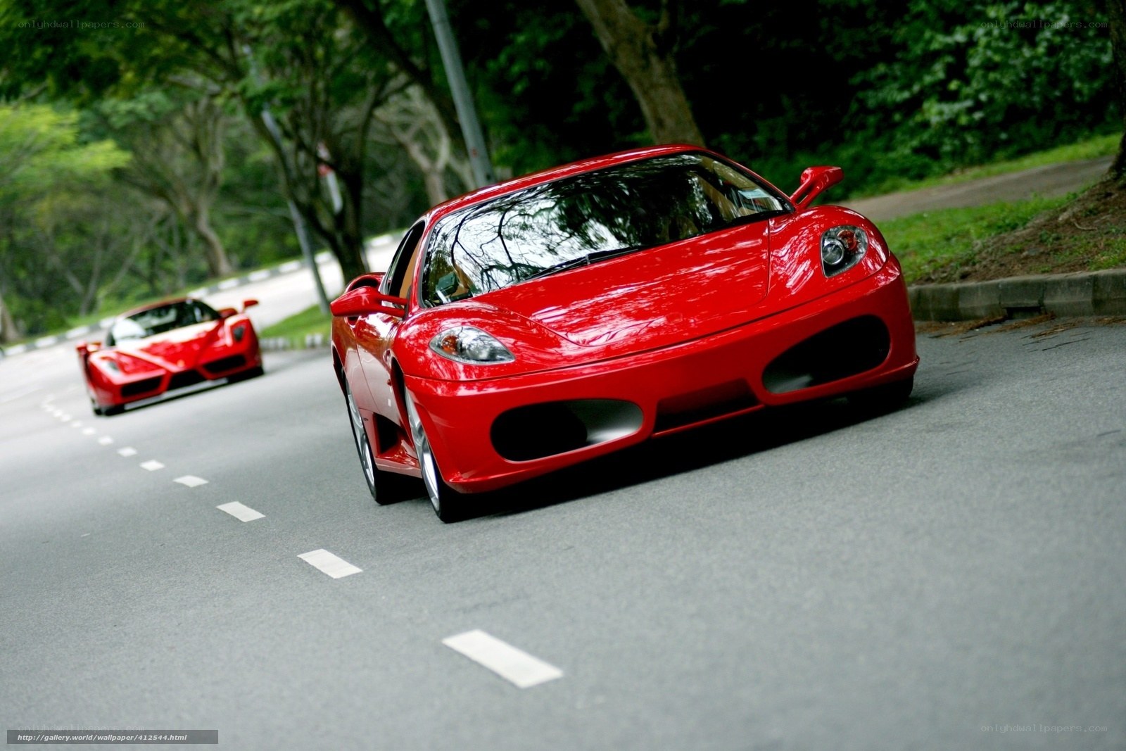 Red Ferraris on a winding road