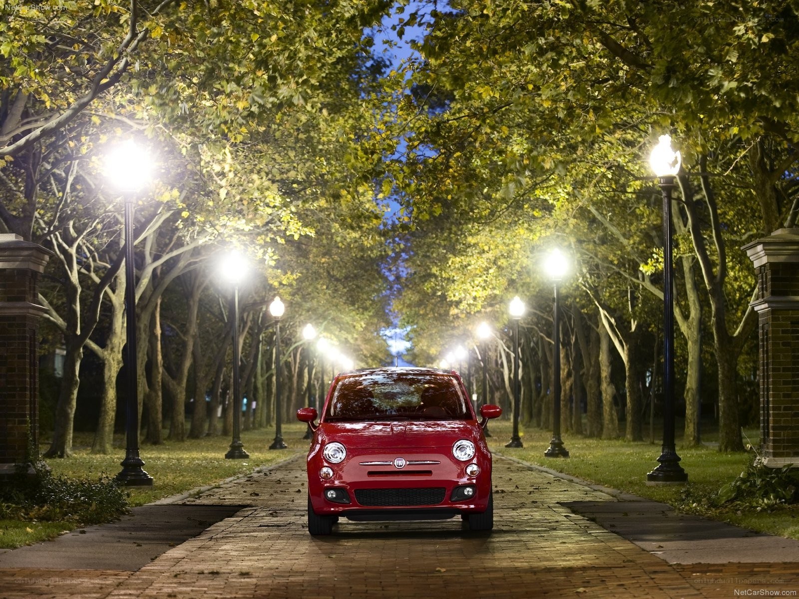 Red Fiat 500 on a tree-lined path