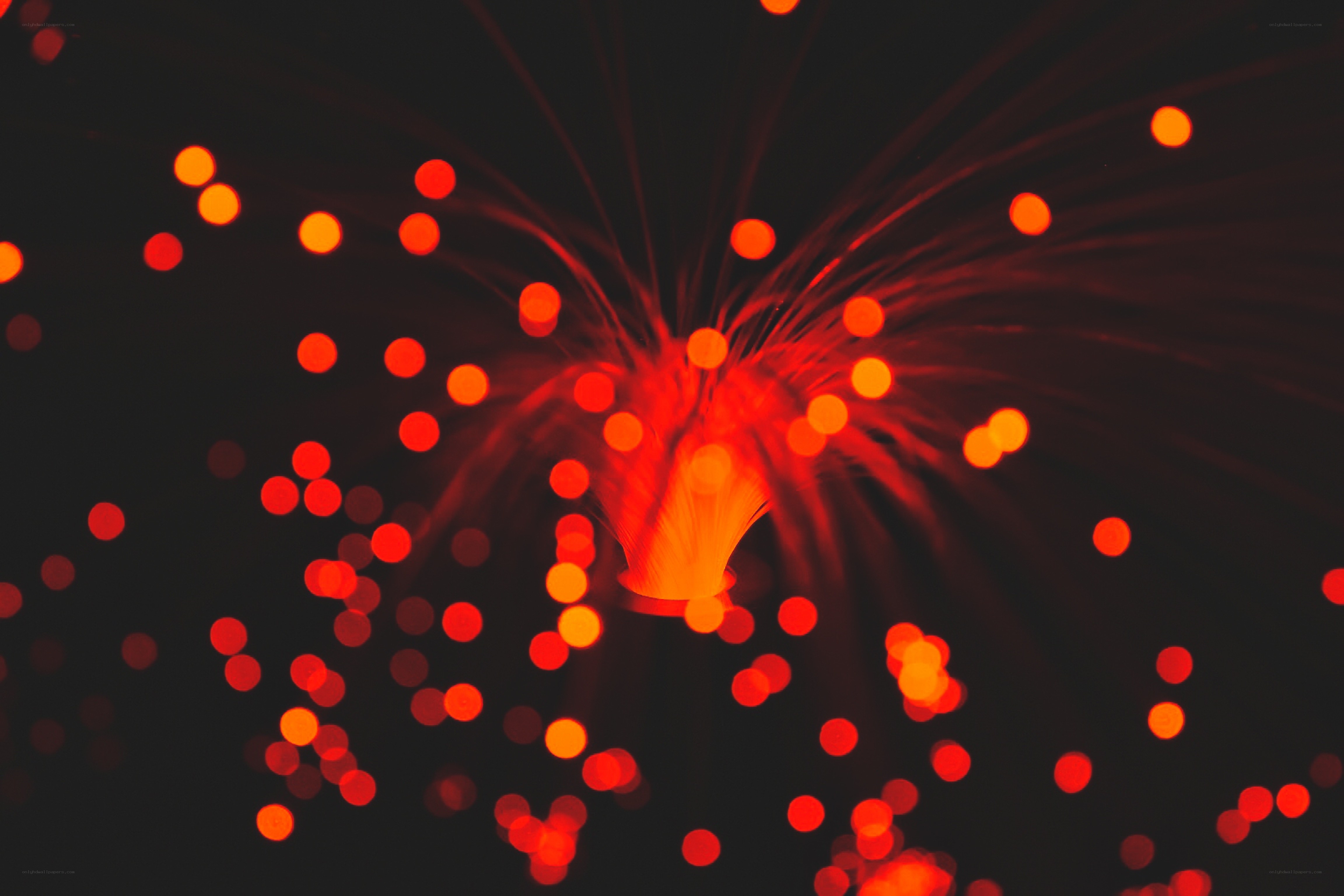Red fiber optic light burst