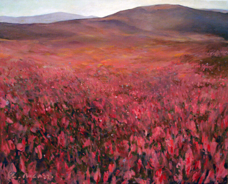 Red Field Landscape