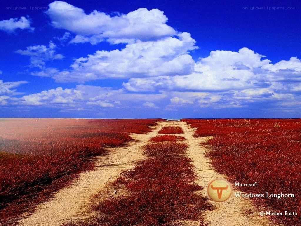 Red Field Pathway Landscape