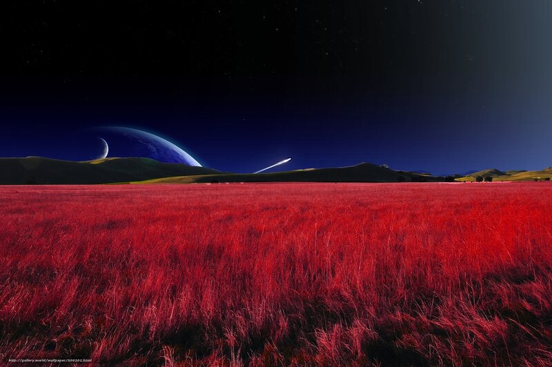 Red field under alien sky
