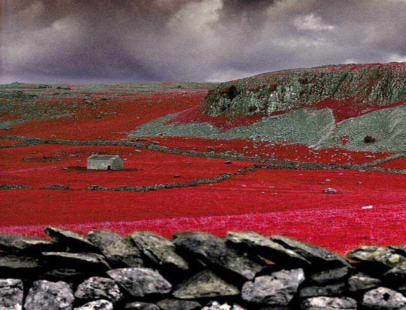 Red Field with Stone Hut
