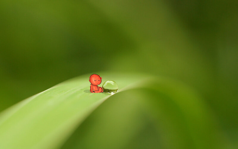 Red Figure on Leaf