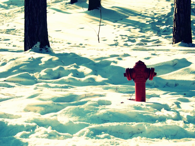 Red Fire Hydrant in Snow — White