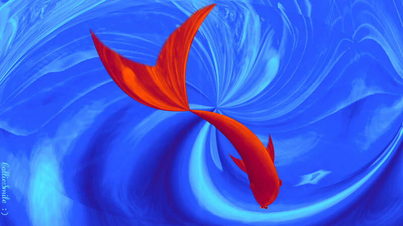 Red Fish in Blue Water — Serene