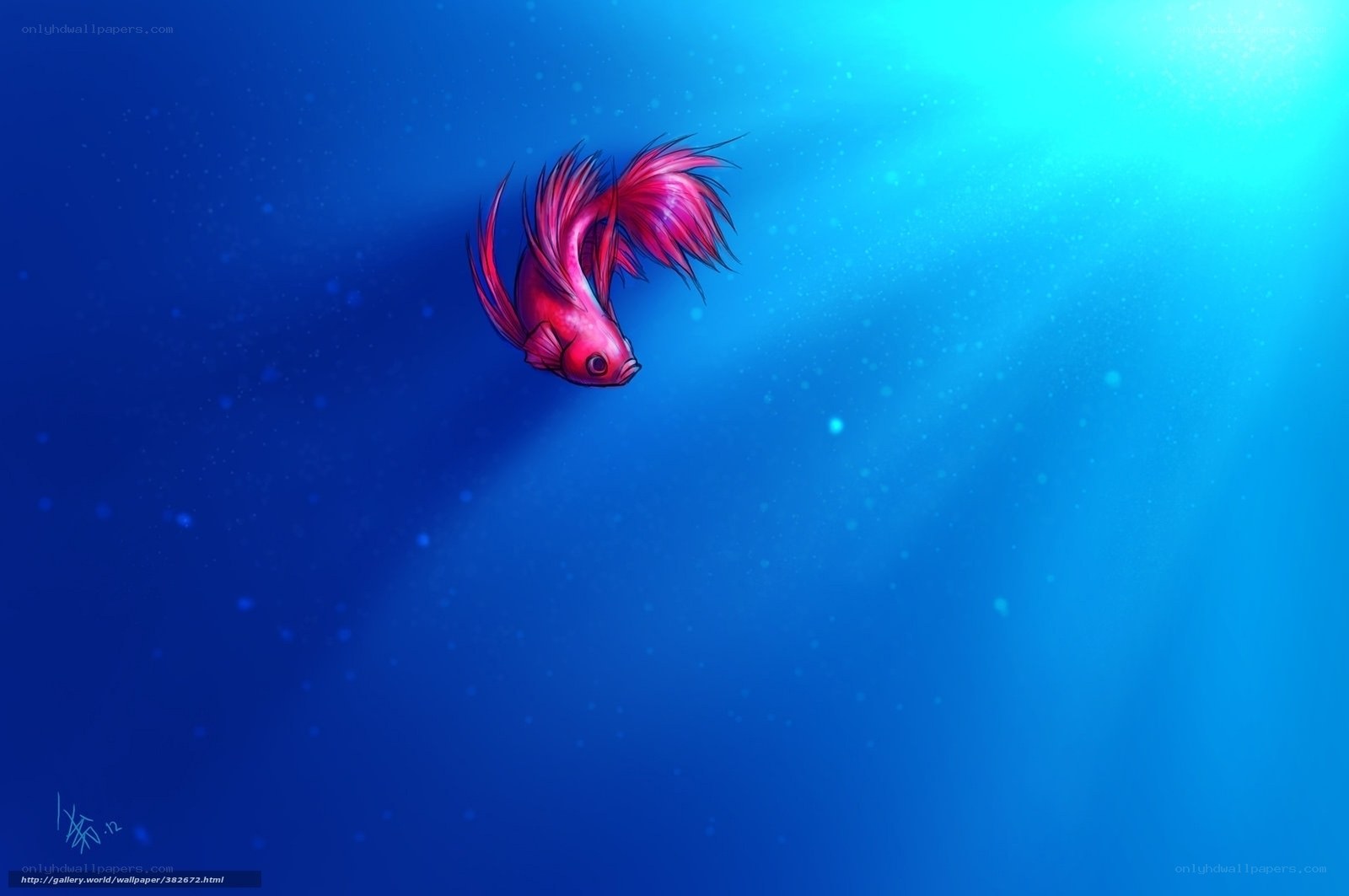 Red fish in blue water