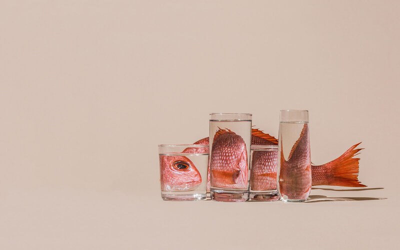 Red Fish in Glasses