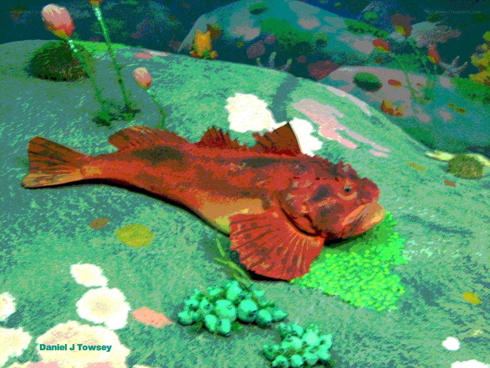 Red fish on ocean floor