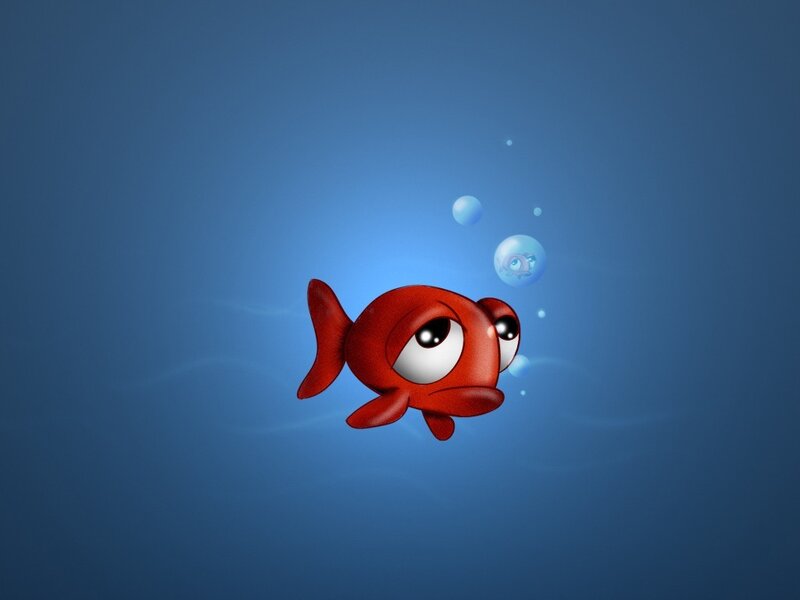 red fish underwater