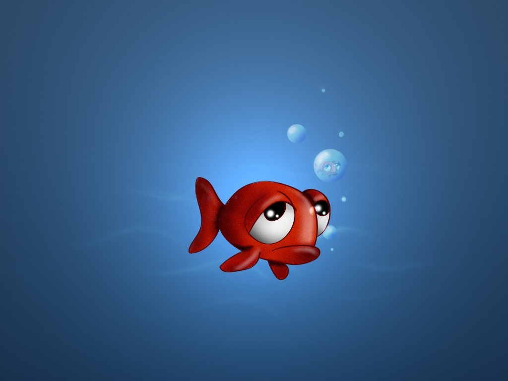 red fish underwater