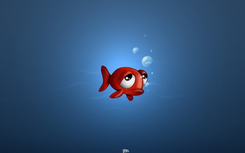 Red fish underwater