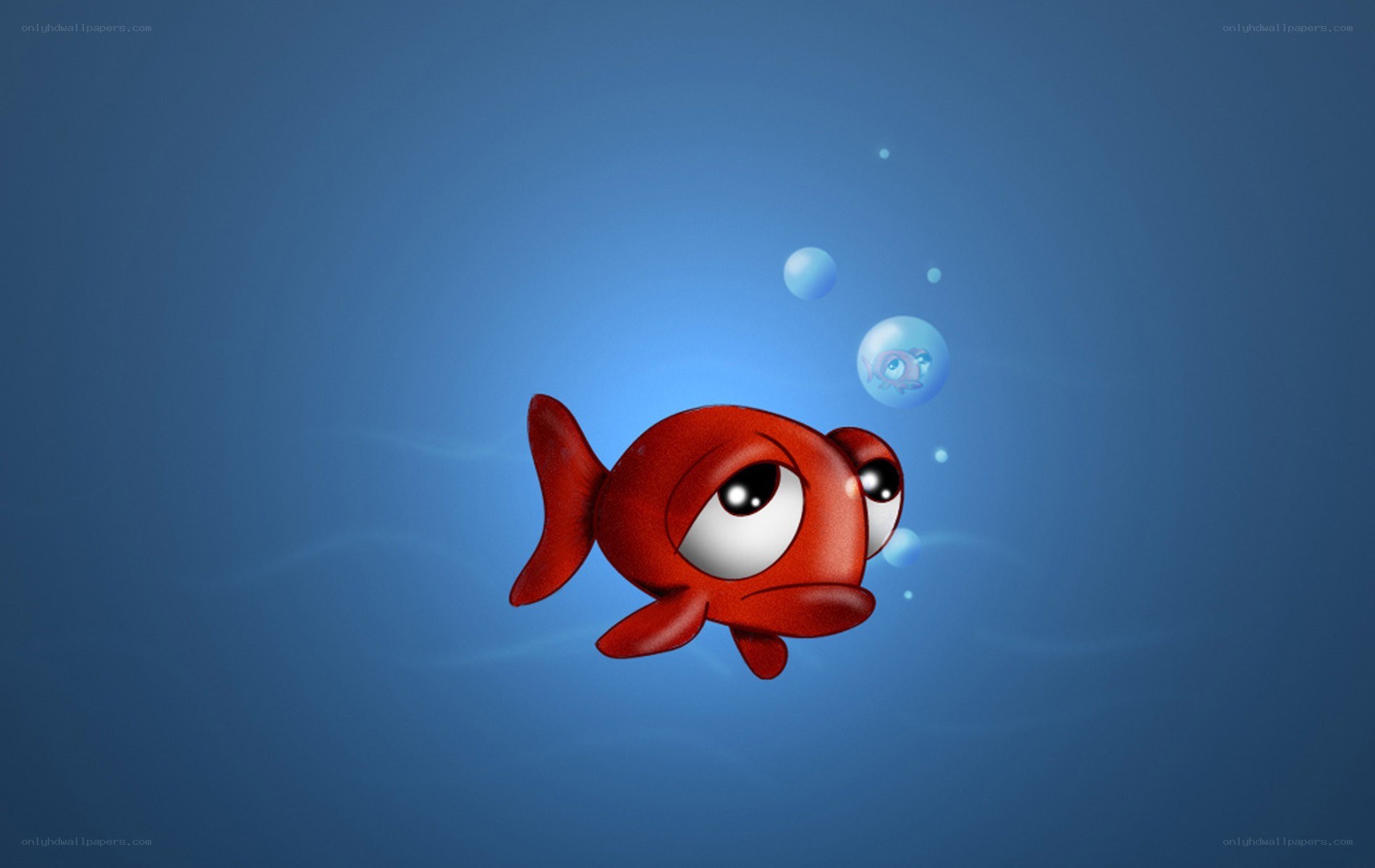 red fish underwater