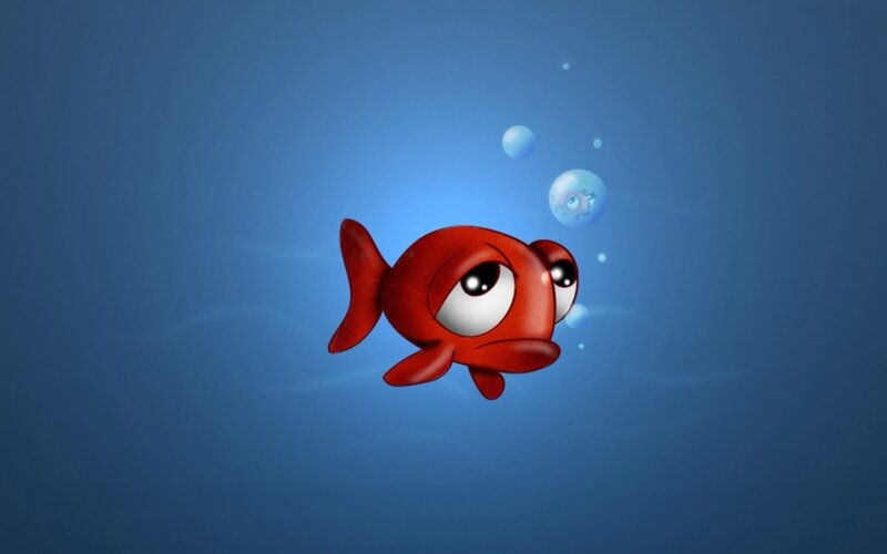 red fish underwater