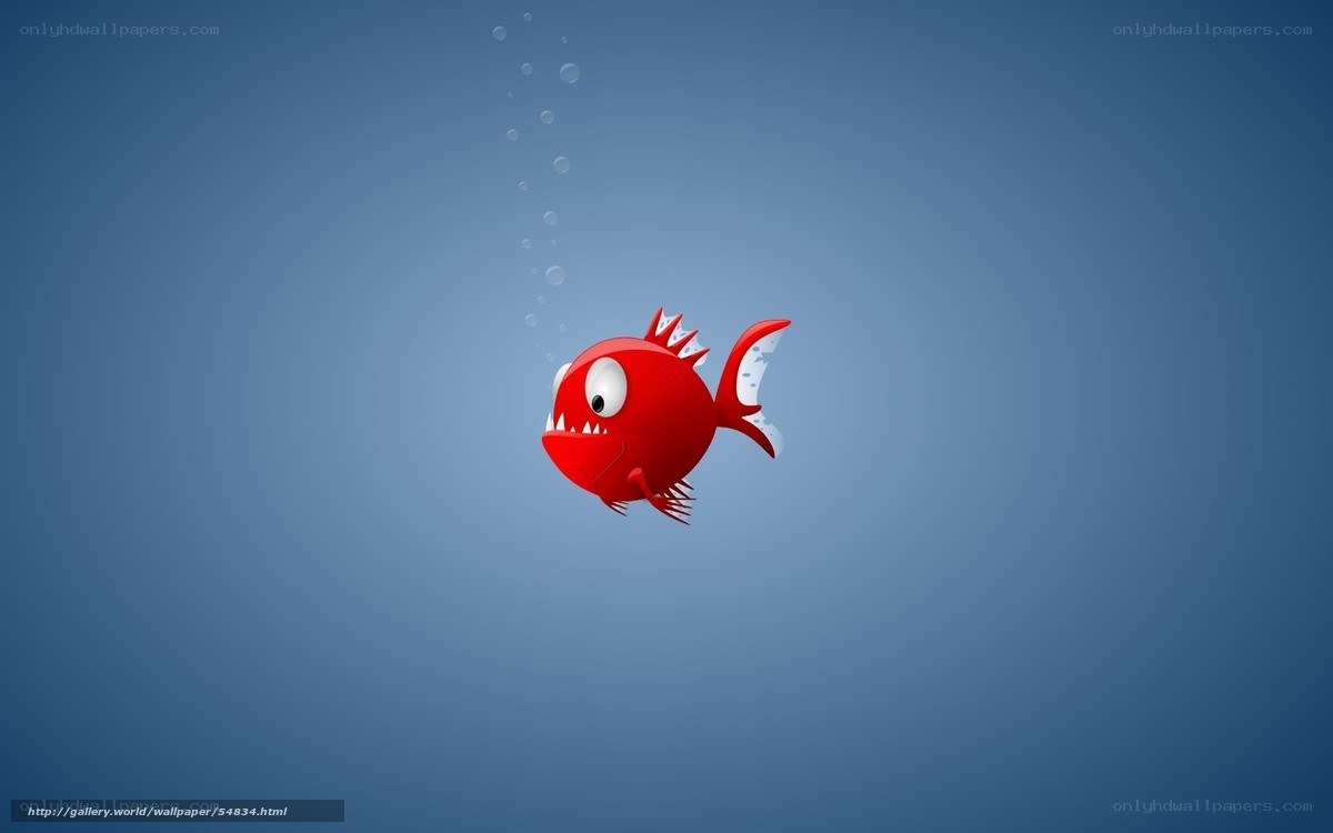 Red fish underwater
