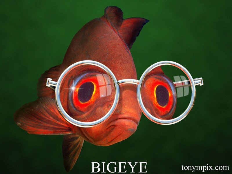 Red Fish Wearing Glasses
