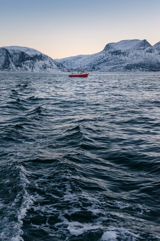 Red Fishing Boat — Blue