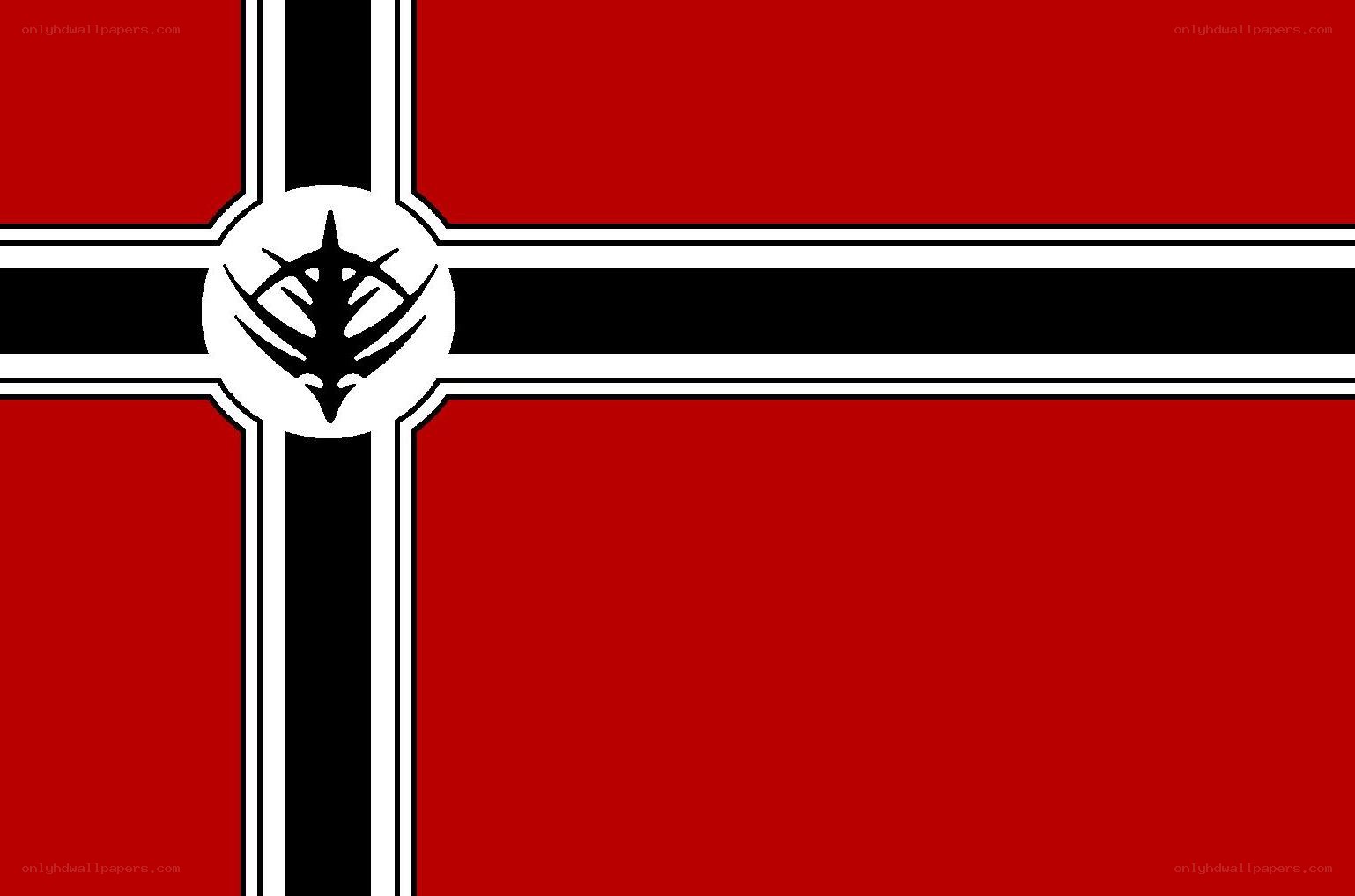 red flag with black cross
