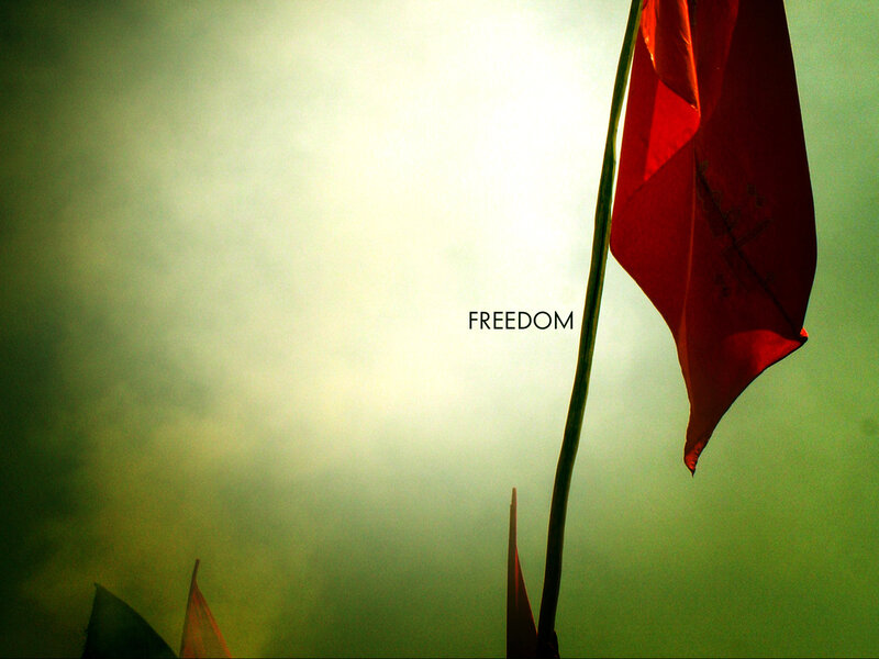 Red flag with freedom text