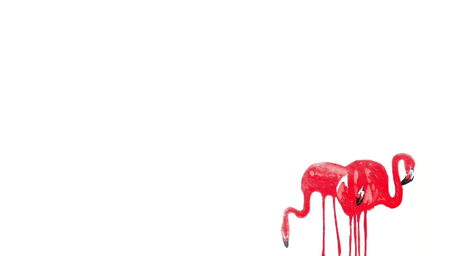 Red flamingos on white