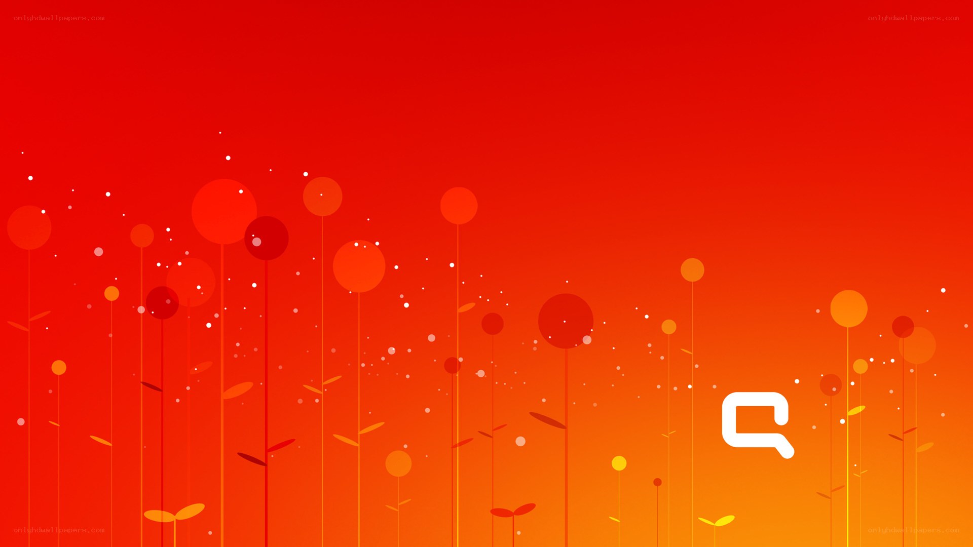 Red floral abstract background