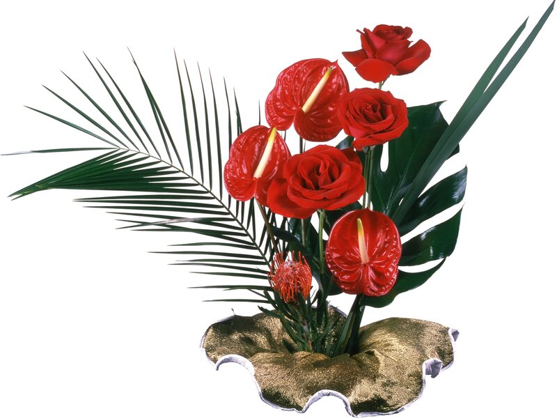Red floral arrangement with green leaves
