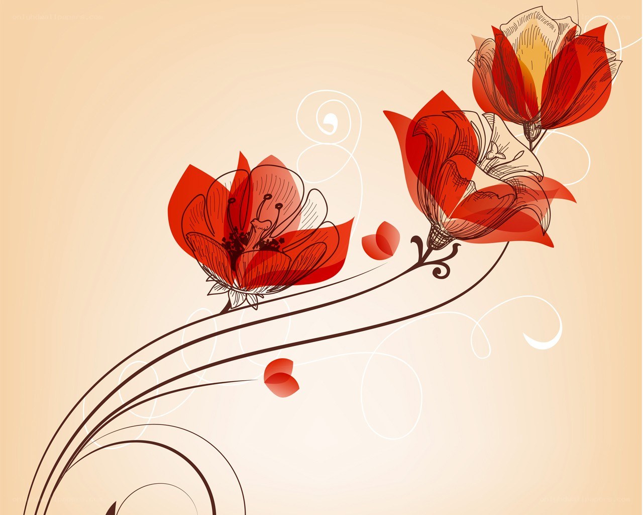 Red floral design background