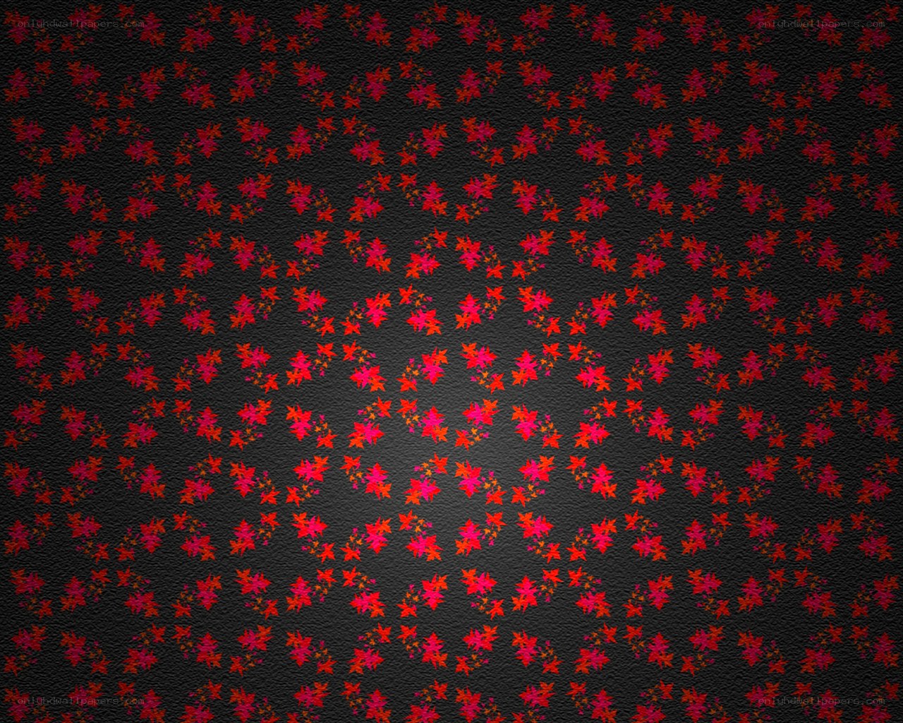 red floral pattern on black