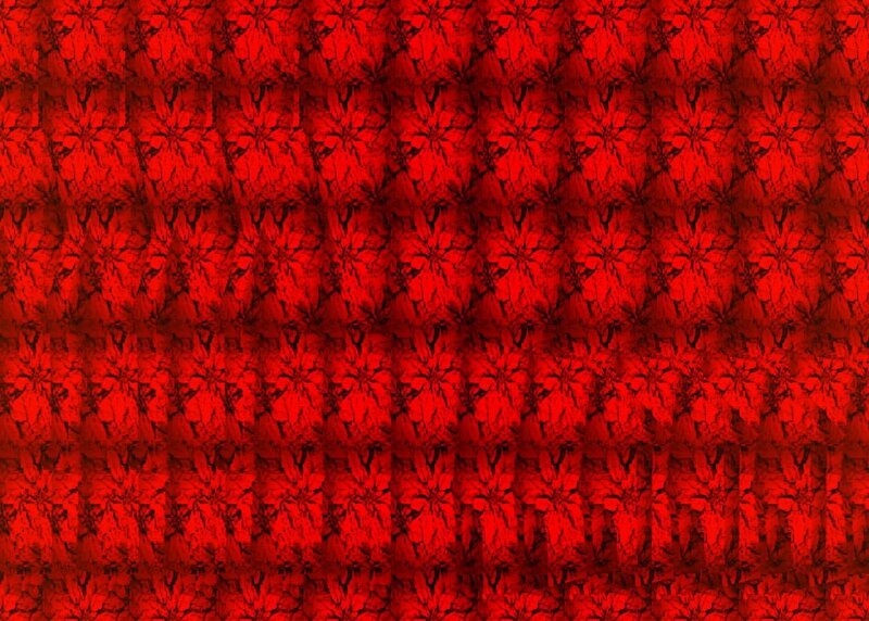 red floral pattern texture
