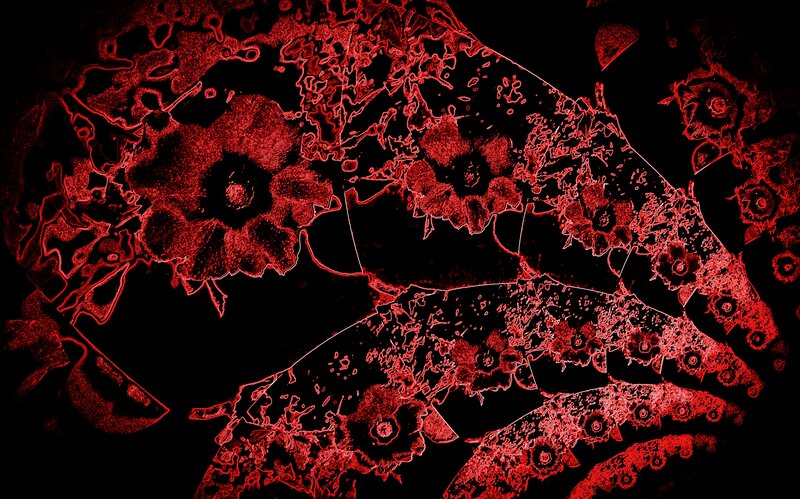 Red Floral Patterns — Dark