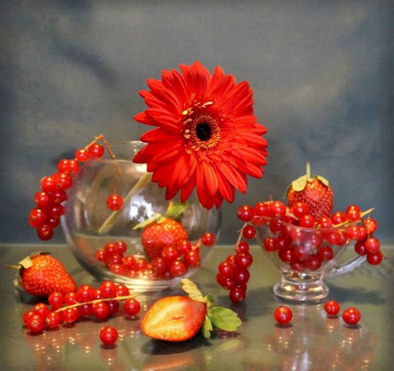 Red Flower and Berries