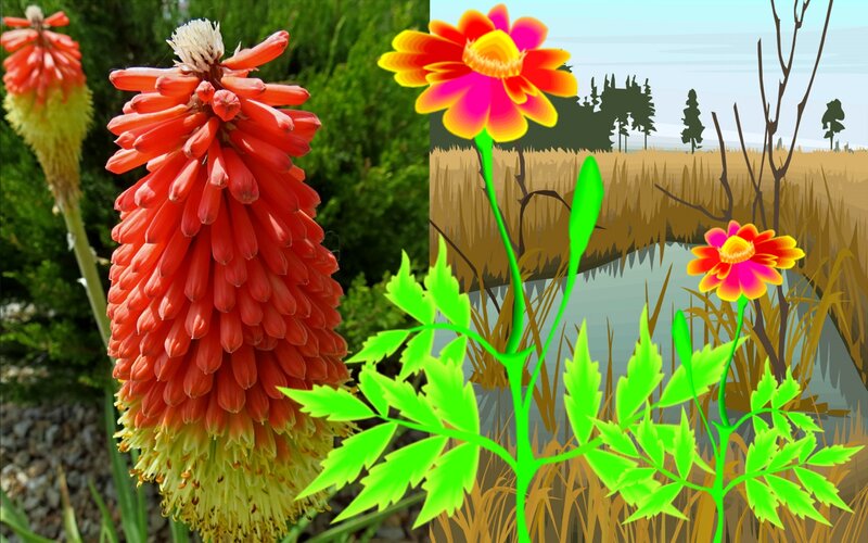 Red Flower and Cartoon Plants
