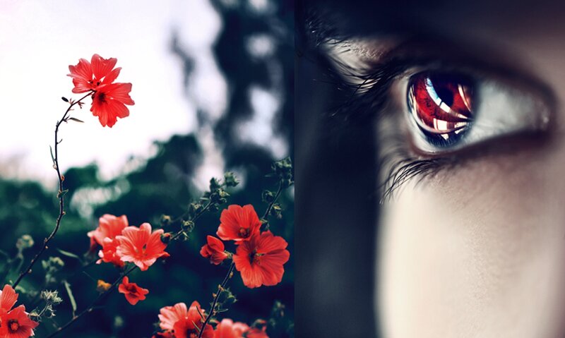 Red Flower and Eye