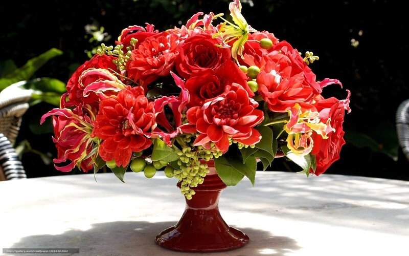 Red Flower Arrangement — Calm, Afternoon, Photograph