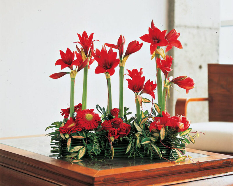 Red Flower Arrangement — Calm, Photograph