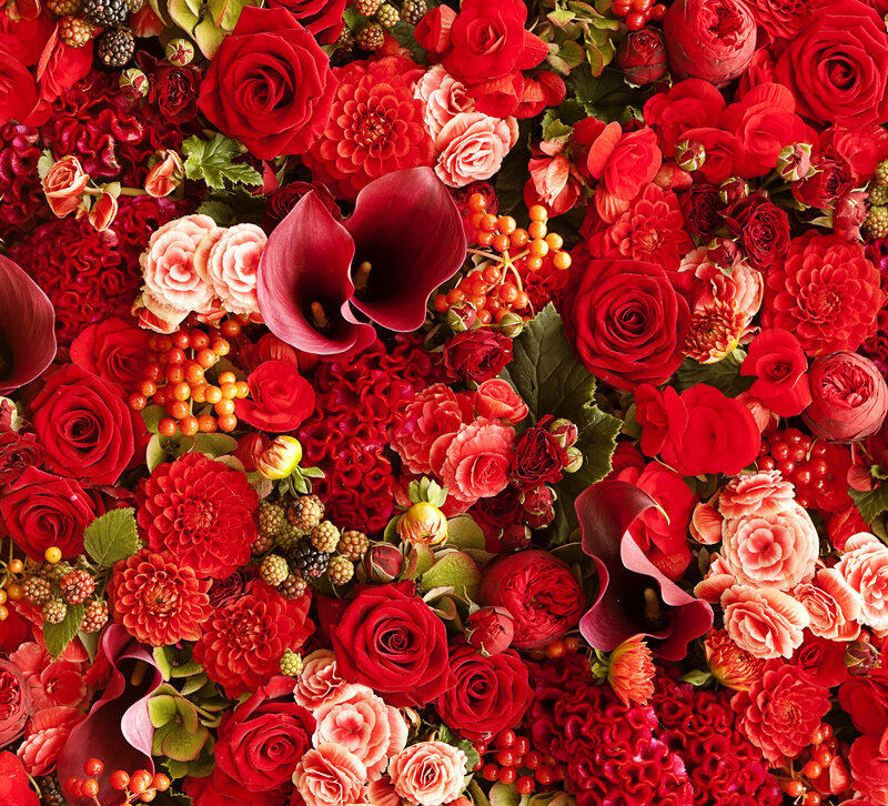 Red Flower Arrangement — Vibrant, Photograph