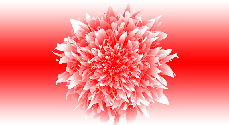 Red Flower Bloom — Vibrant