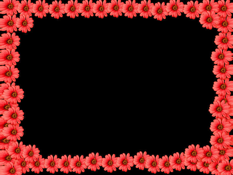 red flower border frame