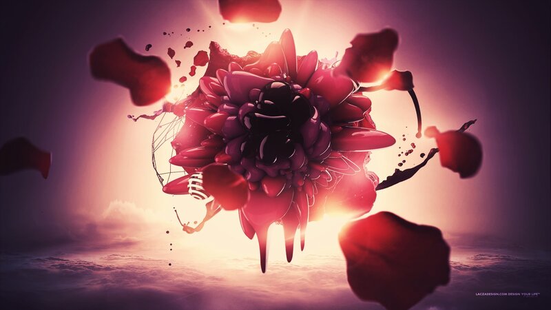Red Flower Explosion — Dramatic, Sunrise