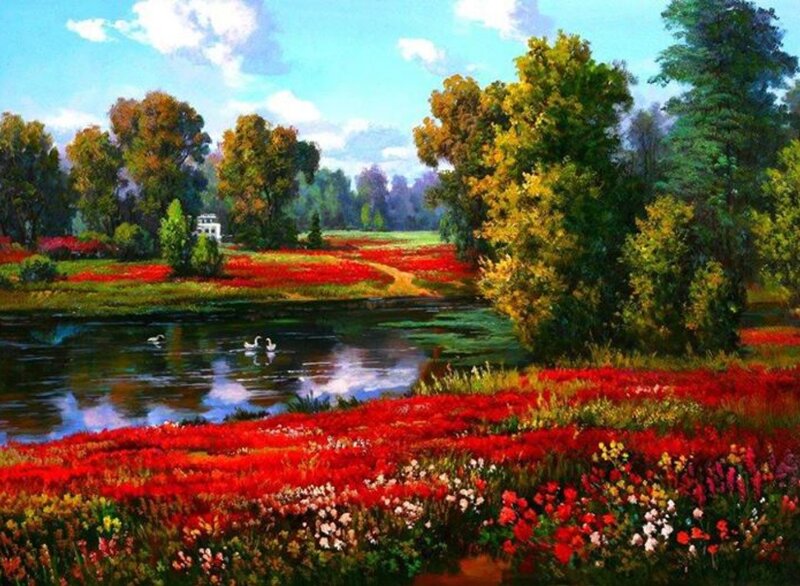 Red Flower Fields by River