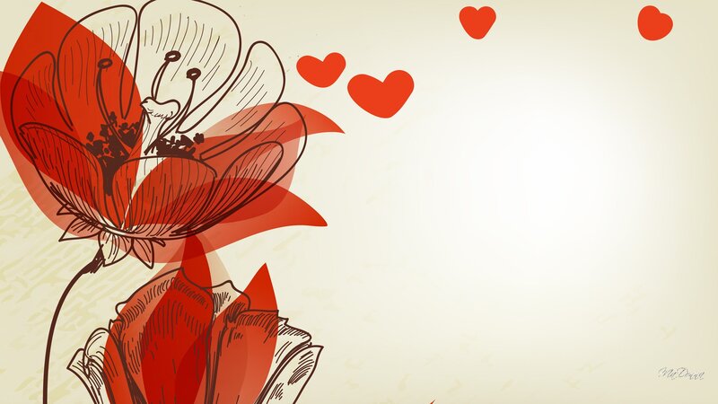 Red Flower Illustration